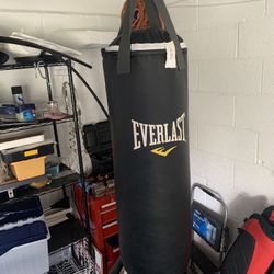 Punching Bag