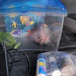 Little Fish Tank With Accessories 