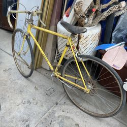 Schwinn Varsity Bike