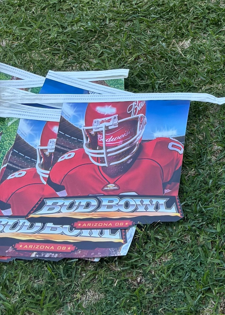 Budweiser Bud Bowl Banner