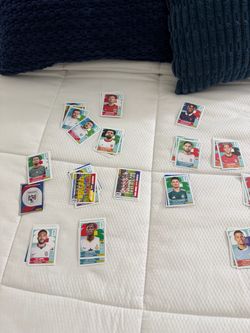 Panini