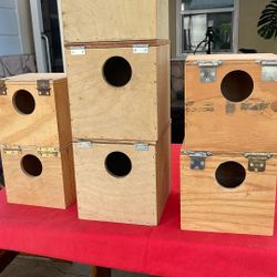 Cockatiel Bird Nests Or Small Birds