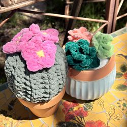 Crochet Cactus And Succulents 