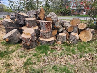 Firewood