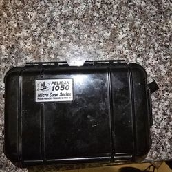 Pelican 1040 Micro Case (Black)