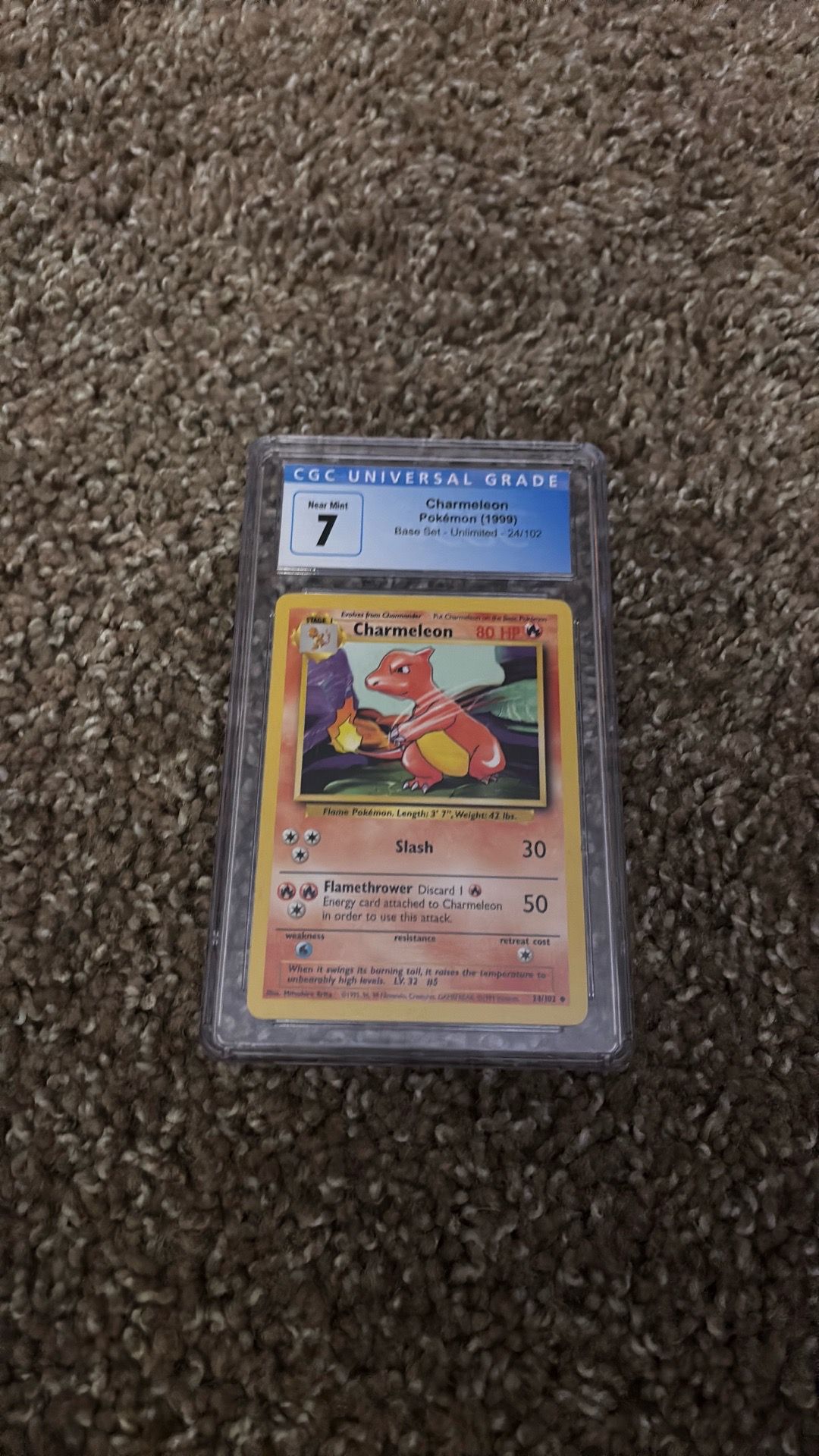 Pokémon