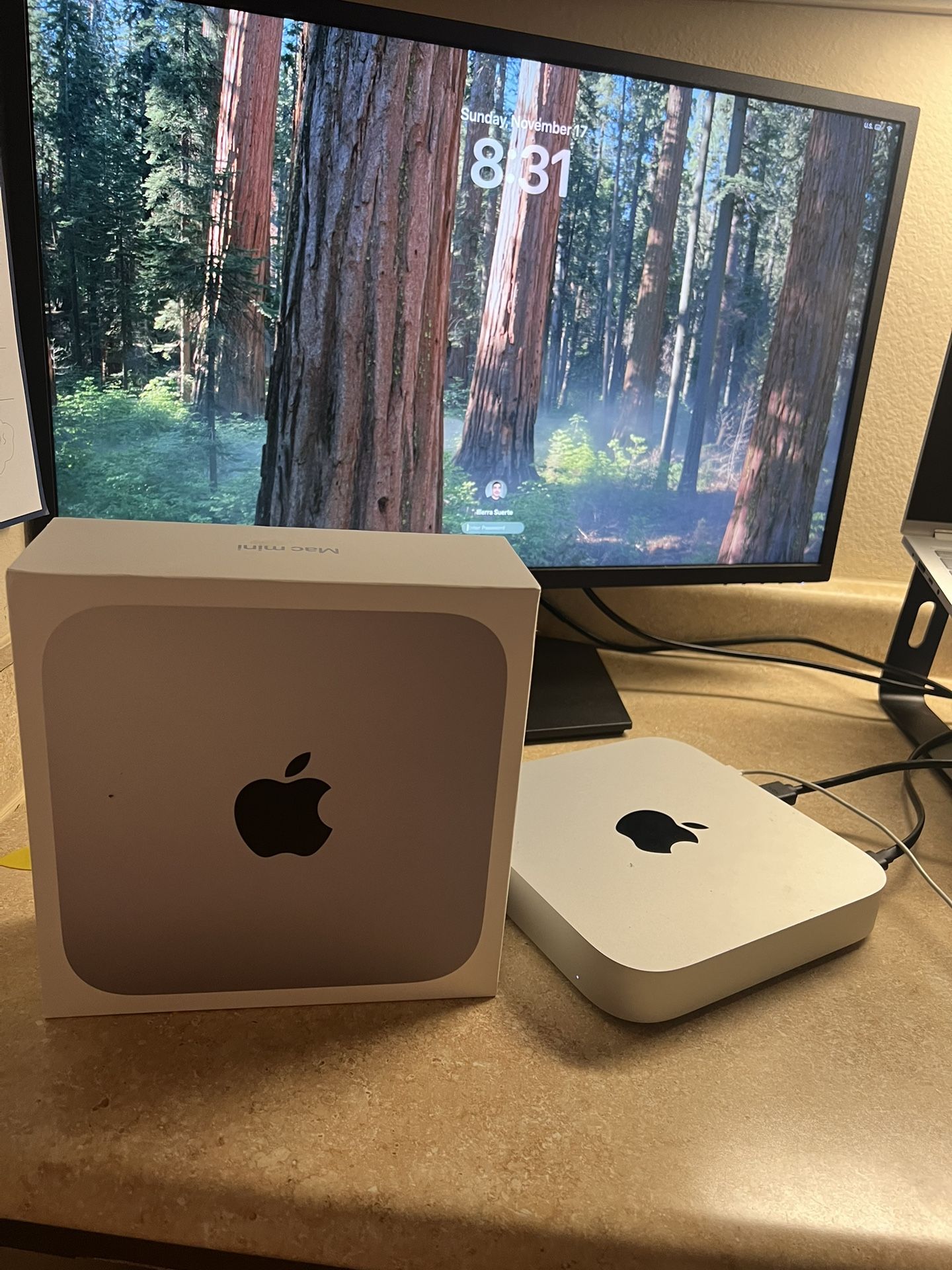 Mac Mini M1 Chip 8gb