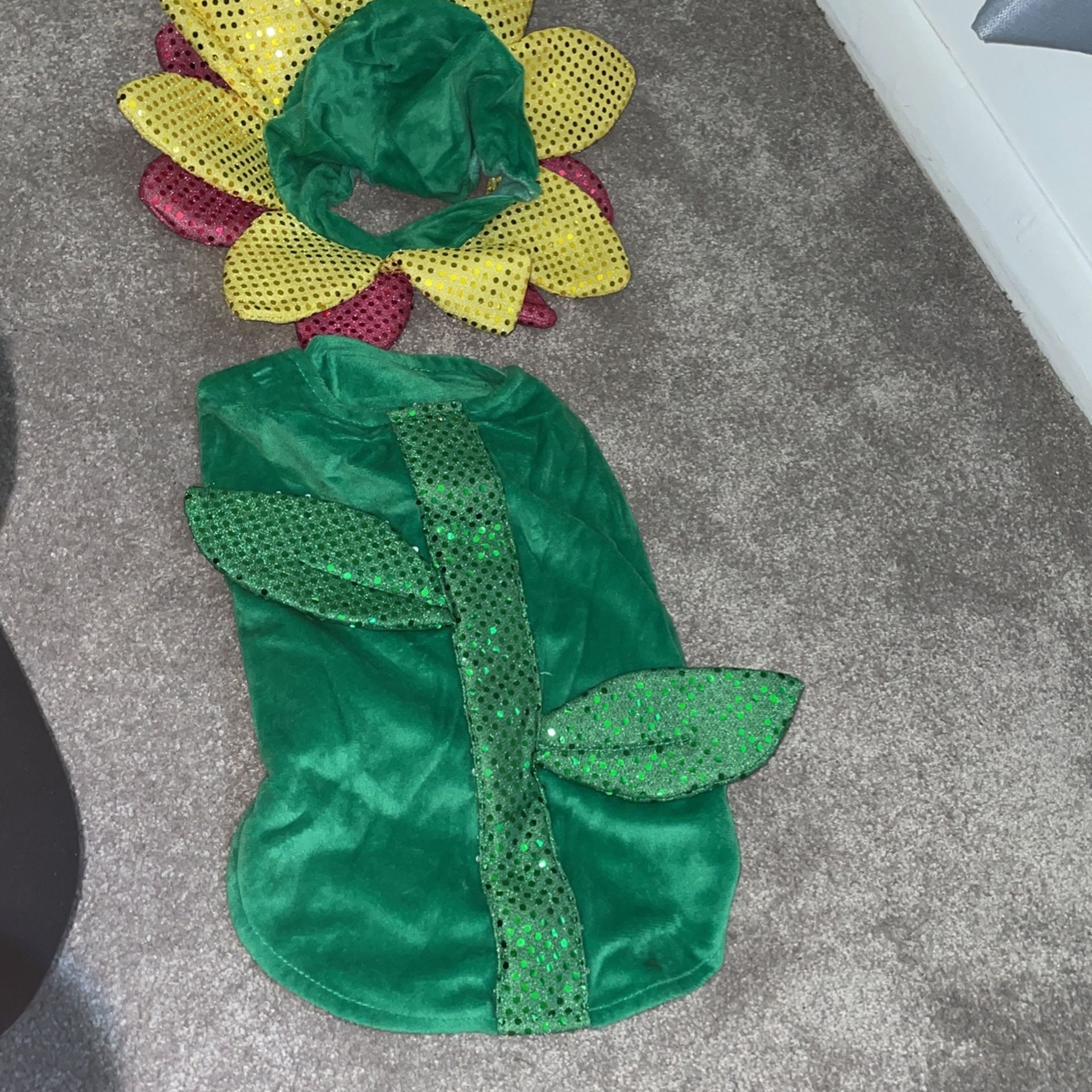 Medium Sunflower Outfit For Doggy