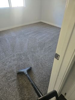 Carpet sofas sectional steam