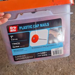 Plastic Cap Nail
