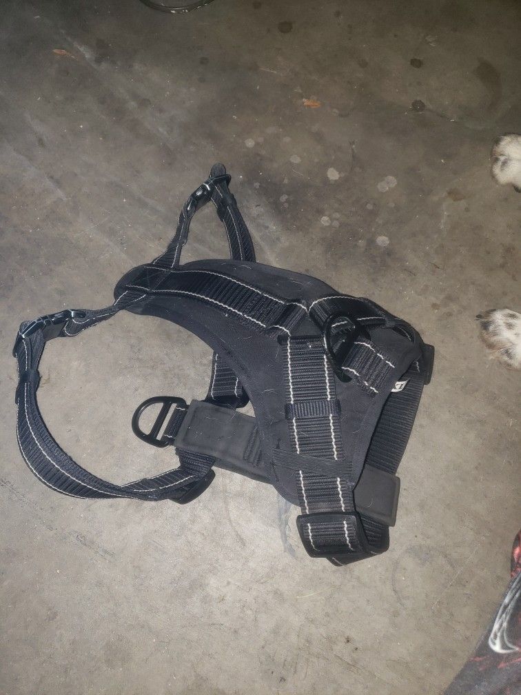 XL Dog Harness