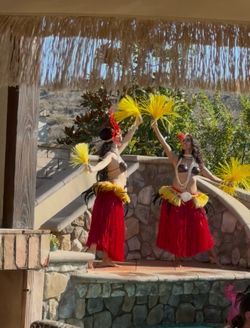 Hawaiian decorations for party