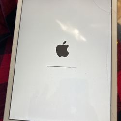 iPad Mini 2013 Model