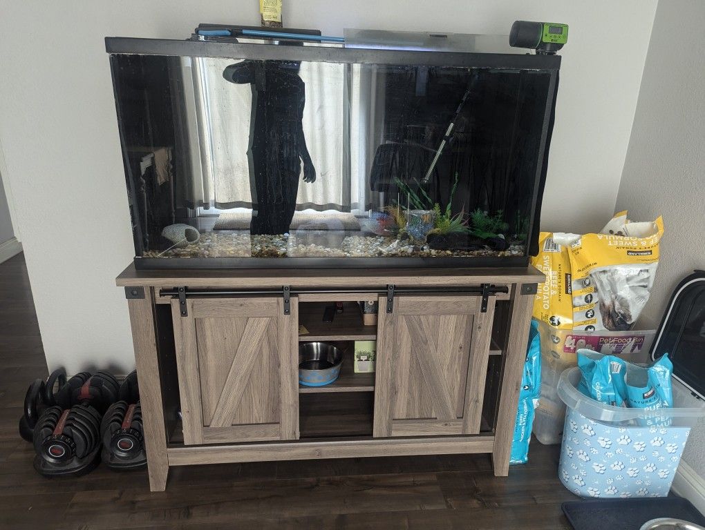 60g Fish Tank