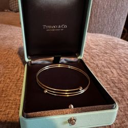 Tiffany & Co. Elsa Peretti Double Wire Diamond Bangle