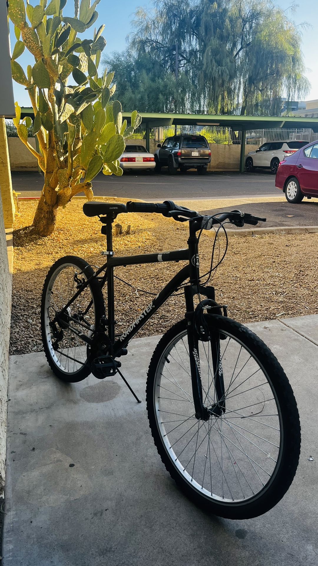 Road Bike