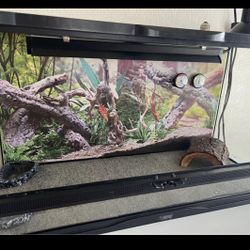 Reptile Tank