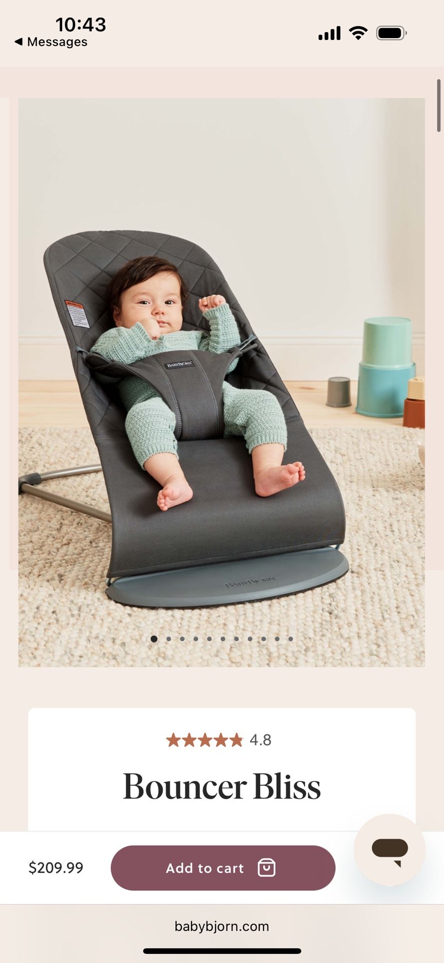 Baby Bjorn Seat