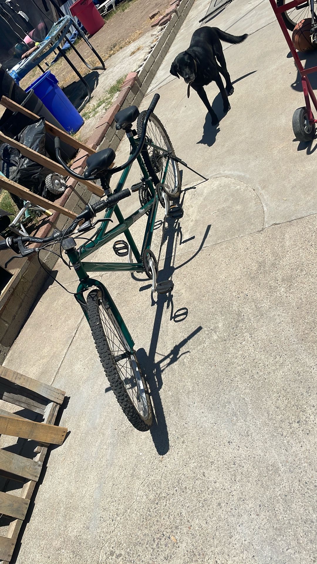 Bike