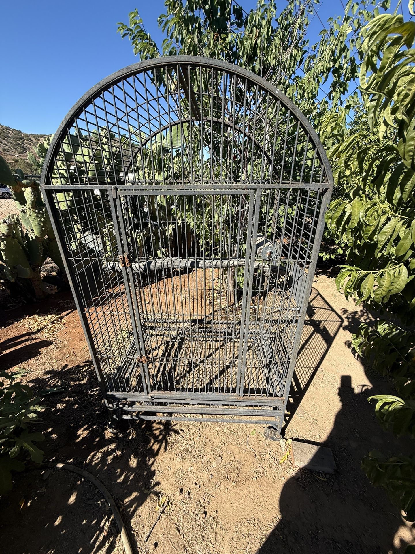 Bird Cage