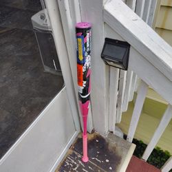 Softball Bat