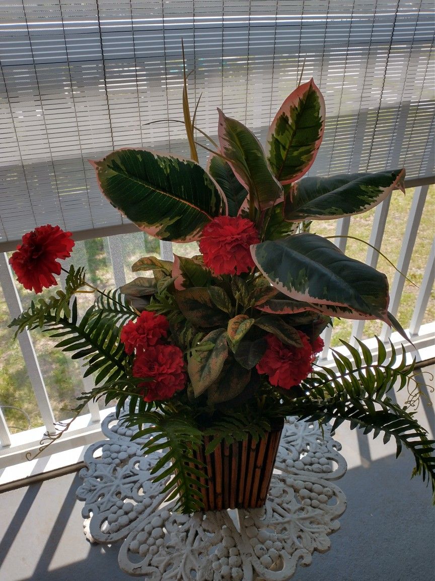 Decorative Plant Arrangement