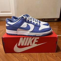 Polar Blue Dunk Low Size 13