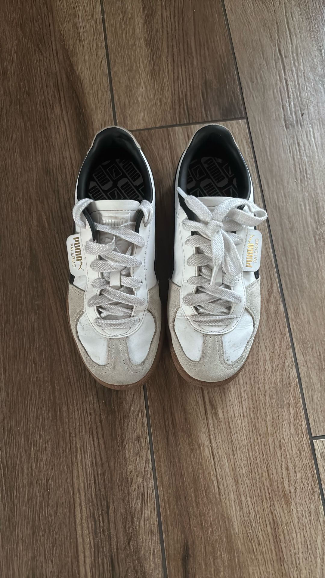 Puma