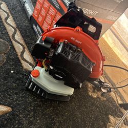 Echo Blower 