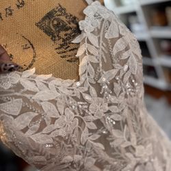 Beautiful Anya Bridal Gown