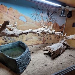 Reptile Cage