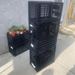 Plastic Crates 