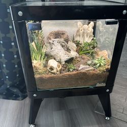 Accent table Display/Terrarium