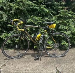 Schwinn Bicycle