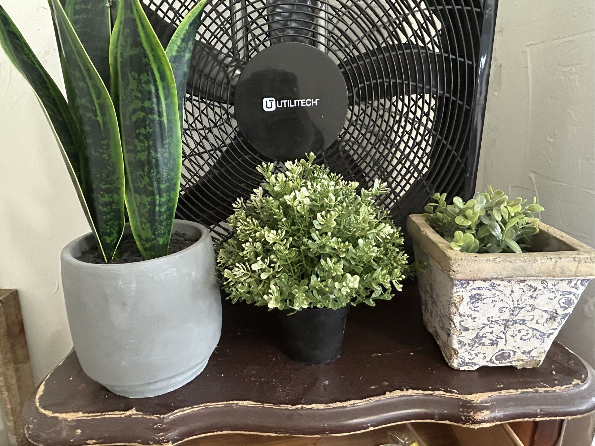 Plant Decorate Flowers