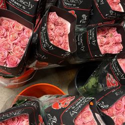 Whole Sale Roses 