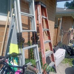 ladders . little giant
