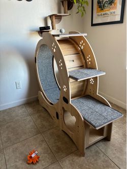 cat wheel