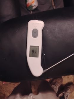 Thermapen Ir 