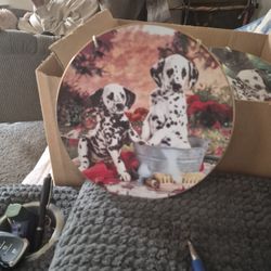 This Is A Collection Plate. On The Back Said  You Missed  A Spot  The Year 1995