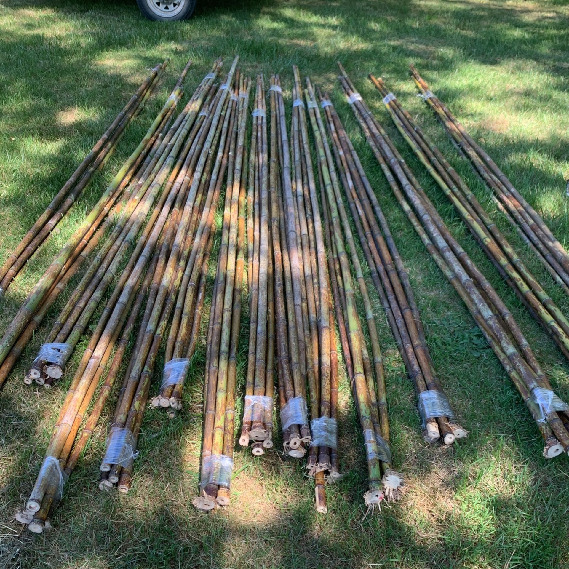 Bamboo Farm /garden / Craft Poles