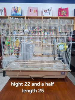 Bird cage