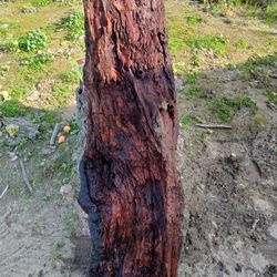 Old Wood Slab About 200 Lbs 6 Ft Perfect For art Woodworklers