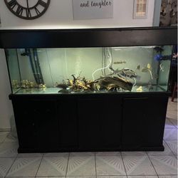 140 Fish Tank Stand And Canopy 