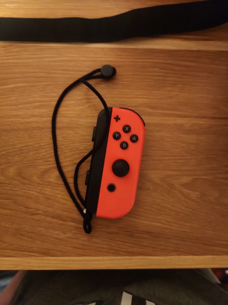 Right Nintendo switch controller.