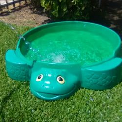 Swimming Pool Kids Turtle 