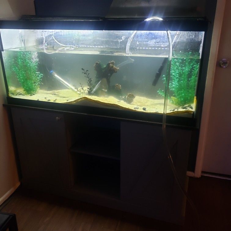 75gal Fish Tank With Stand