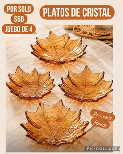 Platos de Cristal  (Princess House )