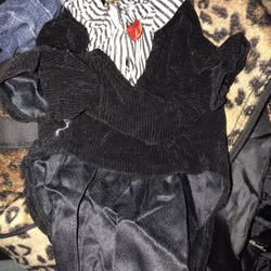 Small Pet Costume