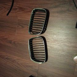 BMW Kidney Grills